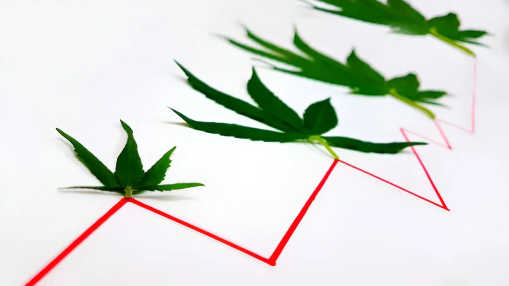 Timeline of Cannabis Legalization in New Jersey Key Dates to Know